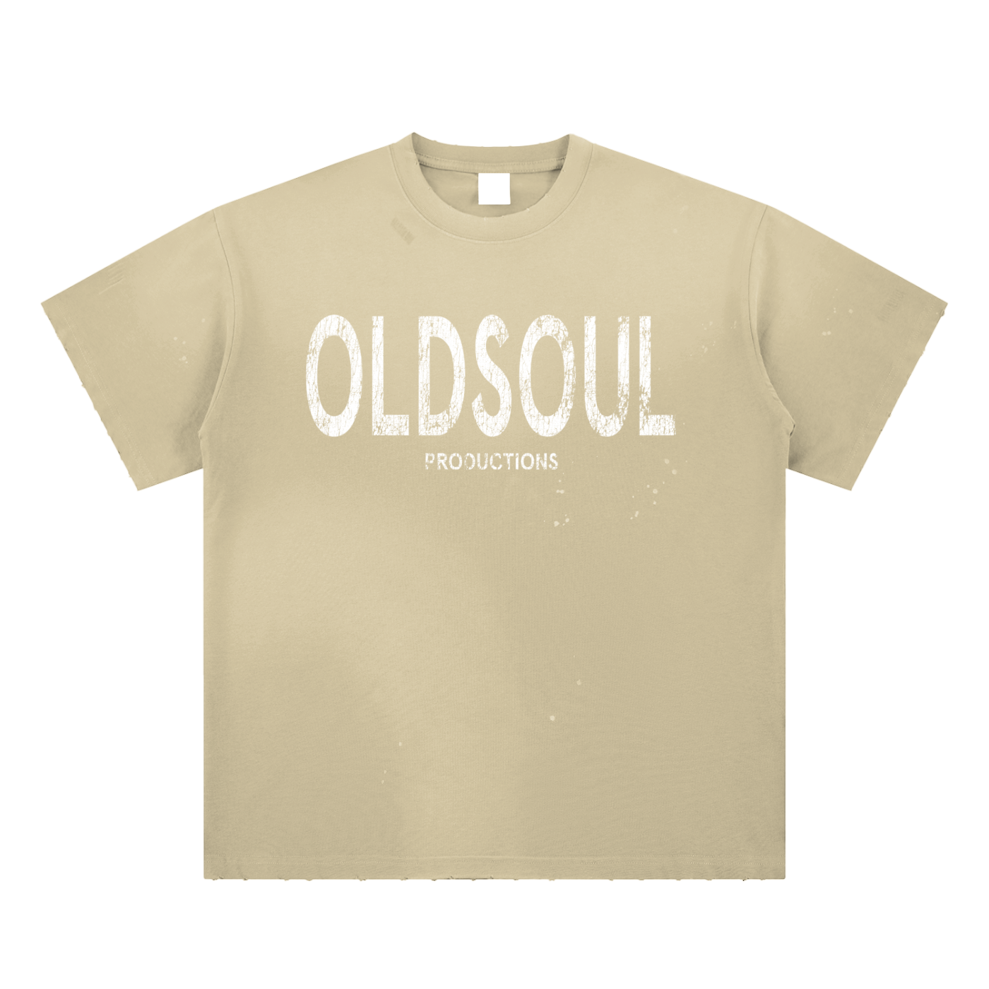 Bleached Distressed T-SHIRT
